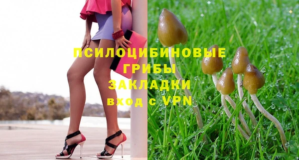 прущая мука Ахтубинск