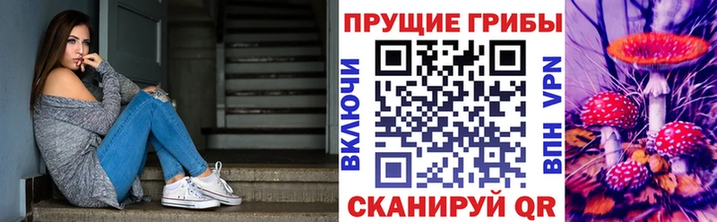 Псилоцибиновые грибы Psilocybe  Верещагино 